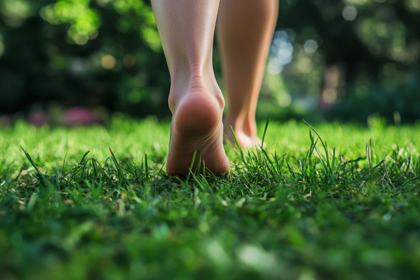 Why We Must Reconsider Our Relationship with the Ground